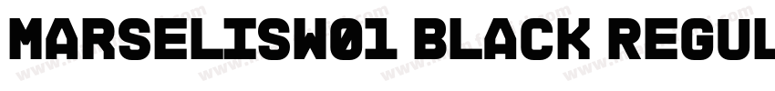 Marselisw01 Black Regular字体转换